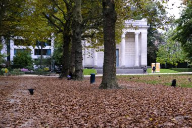 11 Ekim 2019 'da Brüksel, Belçika' da sonbaharda, sarımsı ve yeşilimsi ağaçların arasında, Park Cinquantenaire 'deki sarımsı ve yeşilimsi ağaçların altında düşen yaprakların manzarası.