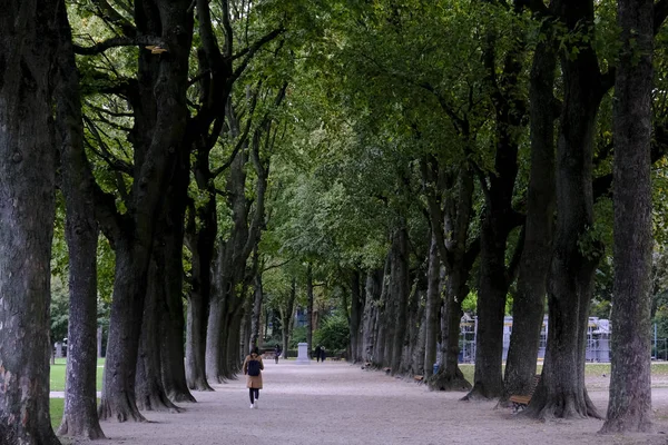 Άνθρωποι Περιηγούνται Στο Πάρκο Cinquantenaire Ανάμεσα Κίτρινα Και Πρασινωπά Δέντρα — Φωτογραφία Αρχείου