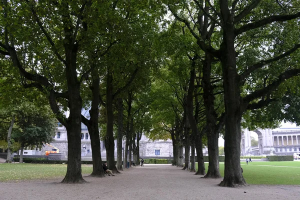Pessoas Visitam Park Cinquantenaire Meio Árvores Amareladas Esverdeadas Durante Outono — Fotografia de Stock