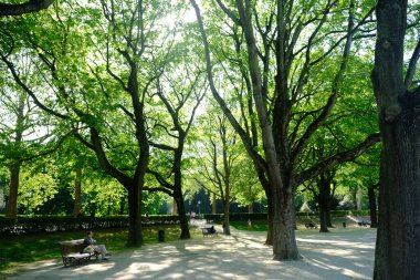 24 Nisan 2020 'de Brüksel' de güneşli bir günde insanlar parkta dolaşırken, COVID-19 'un yayılmasını önlemek için son beş haftadır sıkı bir tecrit uygulanıyor..