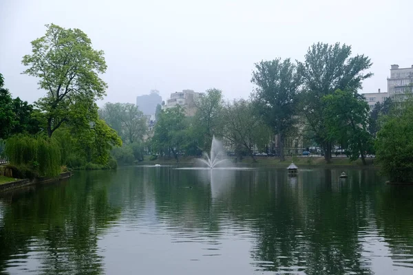 2020年4月28日 比利时布鲁塞尔的一个雾蒙蒙的早晨 伊塞勒斯池塘的照片 — 图库照片