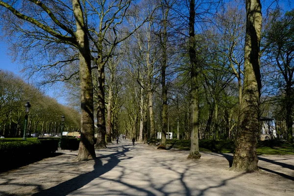 Mensen Lopen Het Park Terwijl Sociale Afstand Bewaren Brussel België — Stockfoto