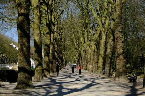 Nsanlar Nisan 2020 Brüksel Belçika Sosyal Mesafeyi Korurken Parkta Yürürler — Stok fotoğraf