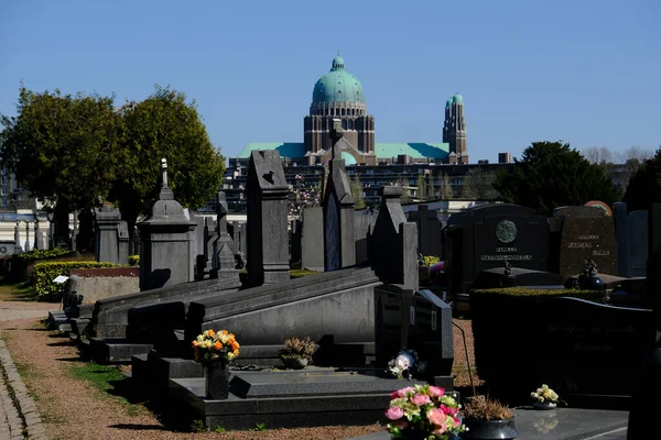 Graves Cemitério Molenbeek Bélgica Abril 2020 Autoridades Belgas Fecharam Cemitérios — Fotografia de Stock