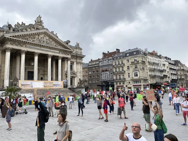 Bruselas Bélgica Junio 2020 Activistas Sostienen Pancartas Durante Una Protesta — Foto de Stock