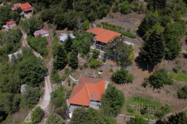 Lefka ya da Paloukova köyünün havadan görünüşü, Yunanistan 'da 1 Ağustos 2020' de köknar ağaçlarından oluşan bir orman arasında, güzel bir doğal ortamda inşa edilmiş bir köydür.