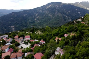 Lefka ya da Paloukova köyünün havadan görünüşü, Yunanistan 'da 1 Ağustos 2020' de köknar ağaçlarından oluşan bir orman arasında, güzel bir doğal ortamda inşa edilmiş bir köydür.