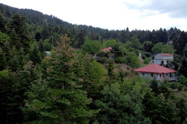 Lefka ya da Paloukova köyünün havadan görünüşü, Yunanistan 'da 1 Ağustos 2020' de köknar ağaçlarından oluşan bir orman arasında, güzel bir doğal ortamda inşa edilmiş bir köydür.