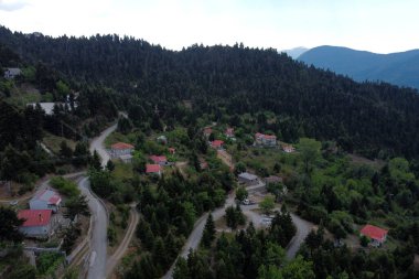 Lefka ya da Paloukova köyünün havadan görünüşü, Yunanistan 'da 1 Ağustos 2020' de köknar ağaçlarından oluşan bir orman arasında, güzel bir doğal ortamda inşa edilmiş bir köydür.