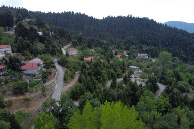 Lefka ya da Paloukova köyünün havadan görünüşü, Yunanistan 'da 1 Ağustos 2020' de köknar ağaçlarından oluşan bir orman arasında, güzel bir doğal ortamda inşa edilmiş bir köydür.