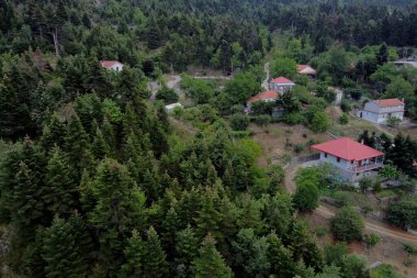 Lefka ya da Paloukova köyünün havadan görünüşü, Yunanistan 'da 1 Ağustos 2020' de köknar ağaçlarından oluşan bir orman arasında, güzel bir doğal ortamda inşa edilmiş bir köydür.