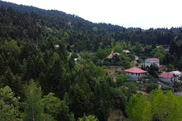 前述のレフカ村やパルーコワ村の空中風景は 2020年8月1日にギリシャのモミの木の森の中にある美しい自然環境に建てられた村です — ストック写真
