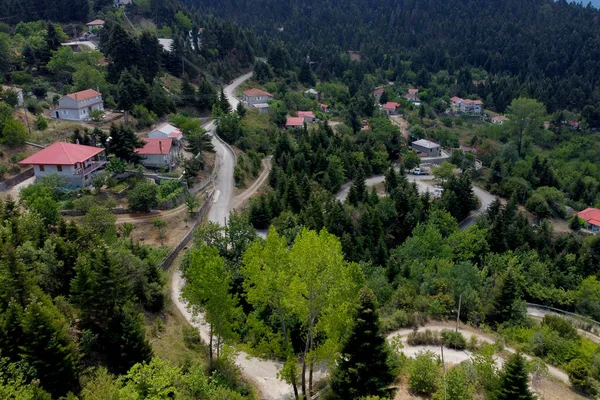 前述のレフカ村やパルーコワ村の空中風景は 2020年8月1日にギリシャのモミの木の森の中にある美しい自然環境に建てられた村です — ストック写真