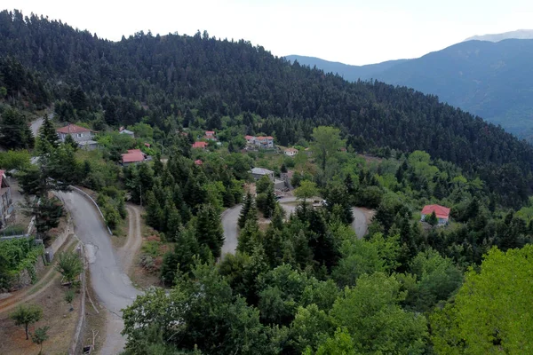 Lefka Paloukova Köyünün Havadan Görünüşü Yunanistan Ağustos 2020 Köknar Ağaçlarından — Stok fotoğraf