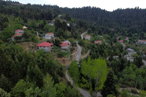 Lefka ya da Paloukova köyünün havadan görünüşü, Yunanistan 'da 1 Ağustos 2020' de köknar ağaçlarından oluşan bir orman arasında, güzel bir doğal ortamda inşa edilmiş bir köydür.