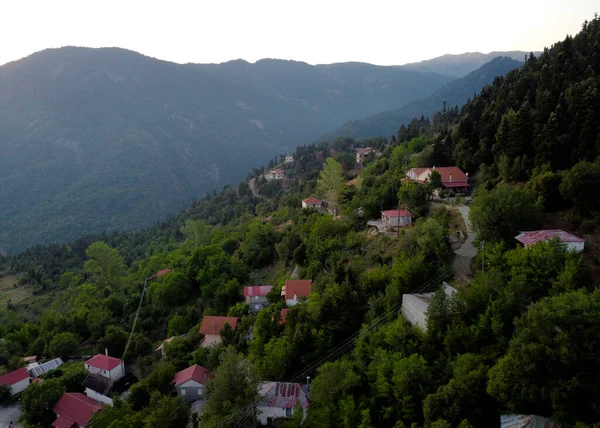 Lefka Paloukova Köyünün Havadan Görünüşü Yunanistan Ağustos 2020 Köknar Ağaçlarından — Stok fotoğraf