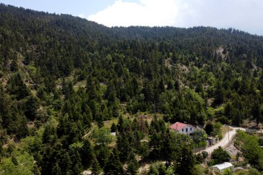 Lefka ya da Paloukova köyünün havadan görünüşü, Yunanistan 'da 2 Ağustos 2020 tarihinde köknar ağaçlarından oluşan bir orman arasında, güzel bir doğal ortamda inşa edilmiş bir köydür.