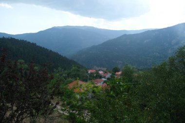 Lefka ya da Paloukova köyünün havadan görünüşü, Yunanistan 'da 2 Ağustos 2020 tarihinde köknar ağaçlarından oluşan bir orman arasında, güzel bir doğal ortamda inşa edilmiş bir köydür.