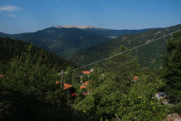 Lefka Paloukova Köyünün Havadan Görünüşü Yunanistan Ağustos 2020 Tarihinde Köknar — Stok fotoğraf