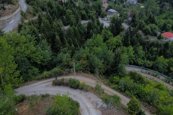 森の中の細い道ドローンの眺め — ストック写真