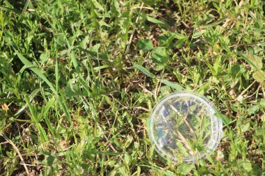 Çimlerin üzerindeki boş plastik bardağı kapat. Plastik atık kirliliği kavramı.