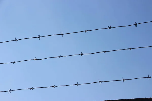 Barbed Wires Clear Blue Sky Prison Freedom Concept Crime Punishment — Stock Photo, Image