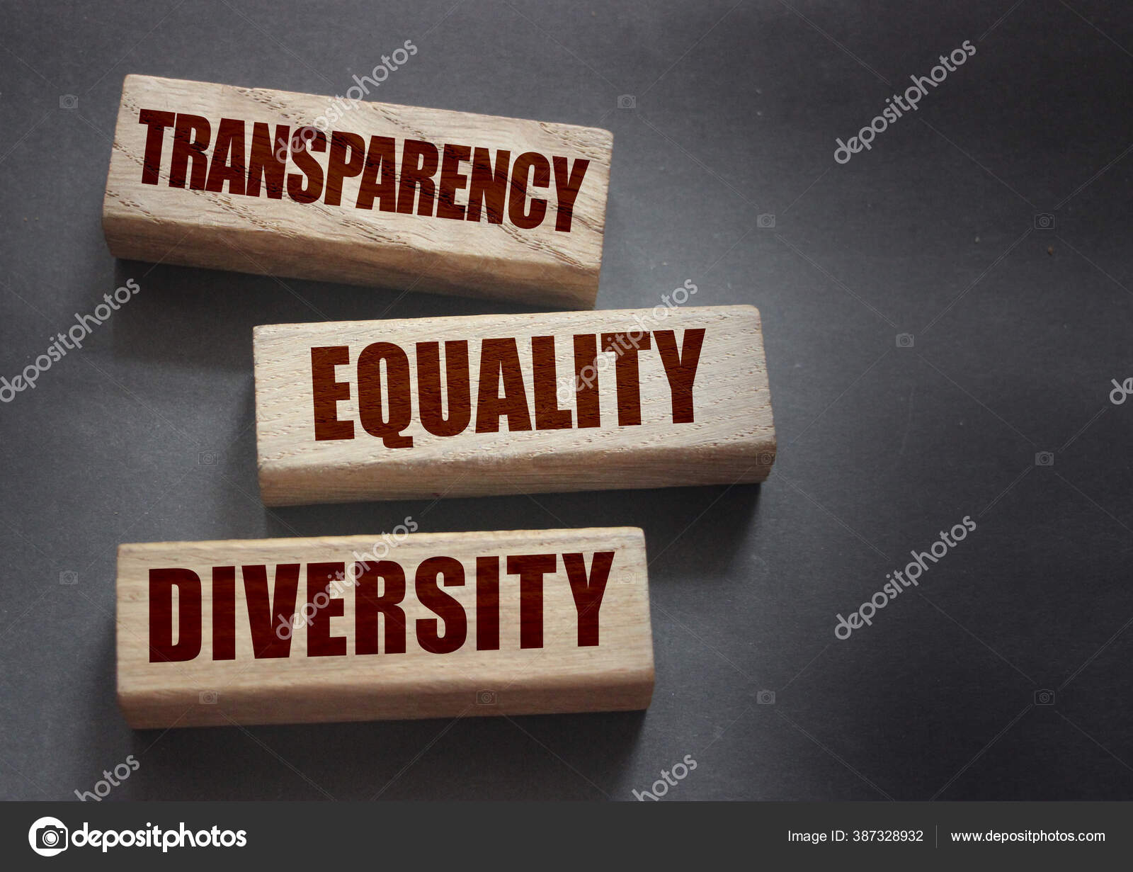 Transparency Equality Diversity Worte Auf Langen Holzklötzen Auf Schwarzem  Hintergrund – Stockfoto © annavaasi #387328932, image size:1600x1231