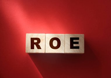 Tahta bloklar ve paralar üzerinde ROE. Equity 'ye Dönüş. İş karlılığı başarı büyüme karlılık analizleri. konsept.