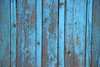 Boyanmış eski püskü ahşabın yüzeyi maviye boyanmış. Yıpranmış ahşap arka plan.