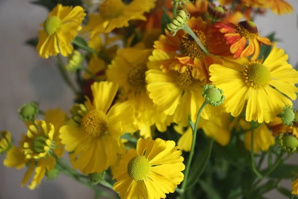 Yellow Bouquet Autumn Flowers Astra Calendula Marigold Tattules Bloom — Stock Photo, Image