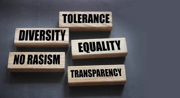 Tolerance Equality Diversity Rasism Words Wooden Blocks Gray Social Business — Stock Photo, Image