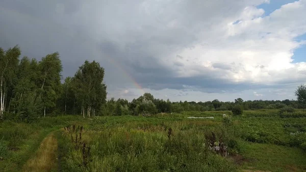 cloudy sky with rainbow and forest