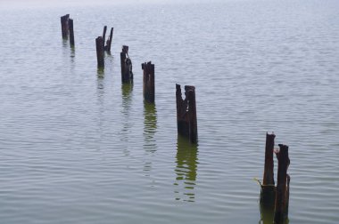 Eski çürümüş deniz iskelesinin sütunları