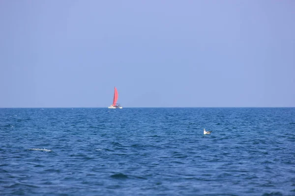 Sailboat with scarlet sails on the blue sea on a sunny day