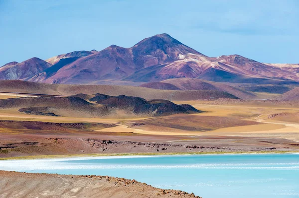 Pideras Rojas Red Rocks Atacama Desert Соляные Лагуны Вулканы Красные — стоковое фото