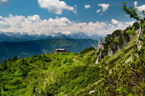 Літня Панорама Hofpurglhutte Hofpurgl Alpine Mountain House Будиночок Лісовим Альпійським — стокове фото
