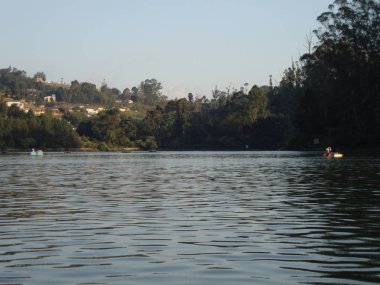 yeşillikile çevrili su