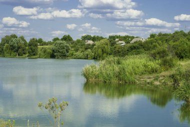 Buğday tarlada. Güneşli bir gün. Bol hasat