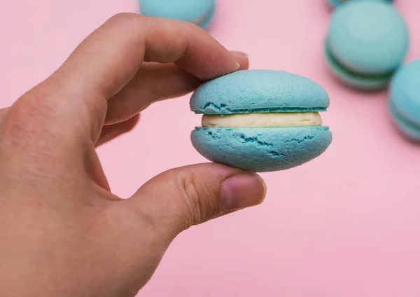 Macaroon. Cookies, chocolate and turquoise colors. Cake with cream filling on a pink background.Sweet dessert.