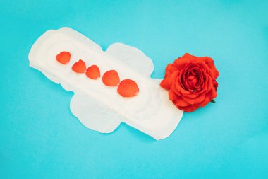 Mavi arka planda kırmızı gül yapraklı kadın pedi. Tıbbi fotoğraf konsepti. Jinekolojik adet döngüsü. Kritik günlerde kadın hijyeni.