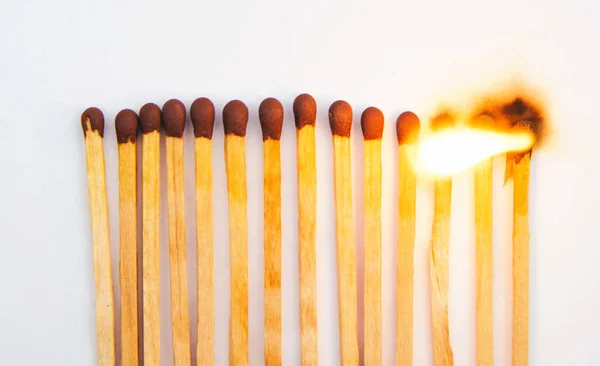 Matches stand in a row on a white background.Burning match.Bright fire from the tree.