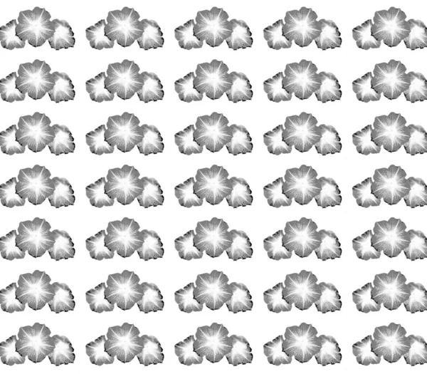 Abstract Floral Pattern Black White — Stock Photo, Image