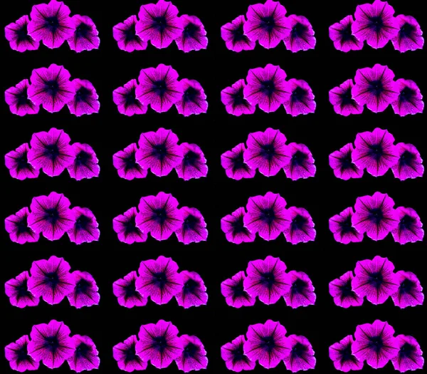 Nahtloses Muster Aus Irisblume Vor Dunkelblauem Hintergrund Designtapeten Stoffe Postverpackungen — Stockfoto