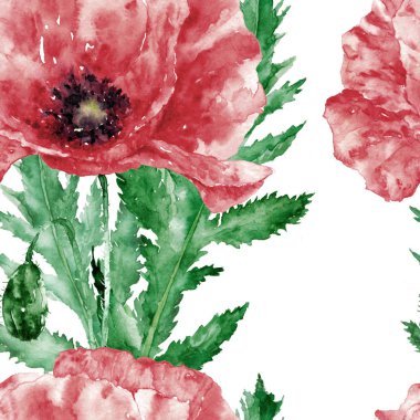 Yabani kırmızı haşhaş ile suluboya dikişsiz desen. Tekstil için çiçek illüstrasyon, davetiye kartları. Çiçeklerle elle çizilmiş arka plan