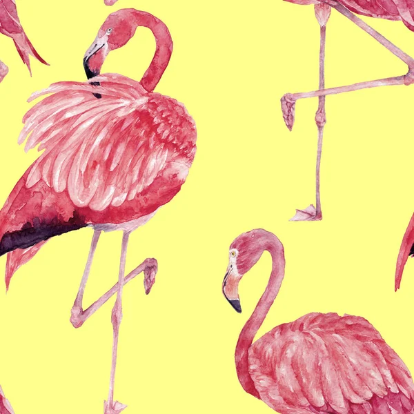 Pink flamingos seamless watercolor pattern. Zoo bird park. Hand drawn illustration with flock pink birds, pink feathers, watercolor background — Stock Photo, Image