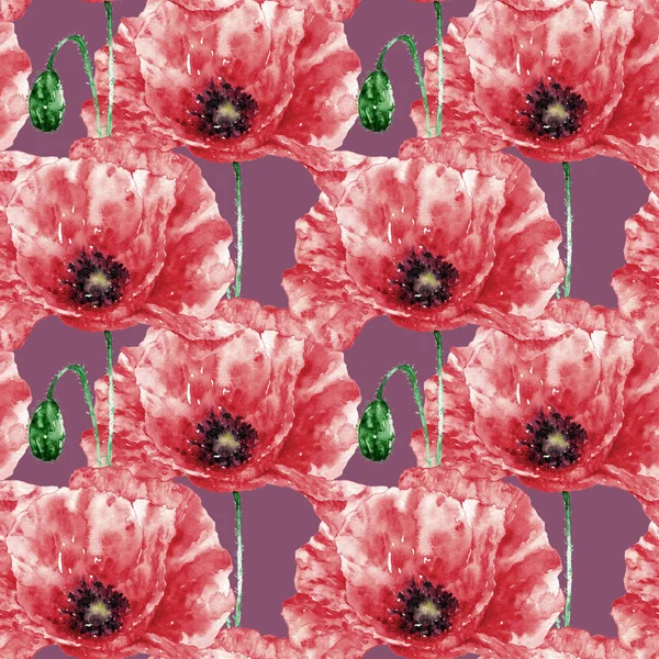Akvarell sömlösa mönster med vilda röda vallmo. Blomster illustration för textil, inbjudningskort. Handritad bakgrund med blommor — Stockfoto