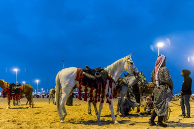 Suudi Arabistan 'ın Abqaiq kentinde düzenlenen geleneksel Çöl Safari Festivali' nde atıyla Suudi Arabistan 'a at binicisi. 10 Ocak 2020.