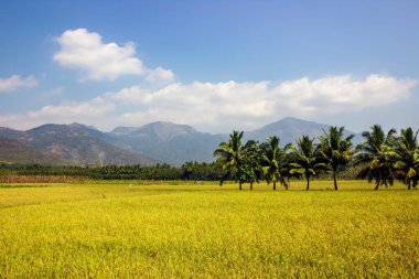 Dağlı güzel bir manzara.