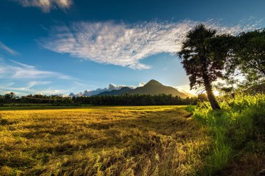 Dağların güzel manzarası