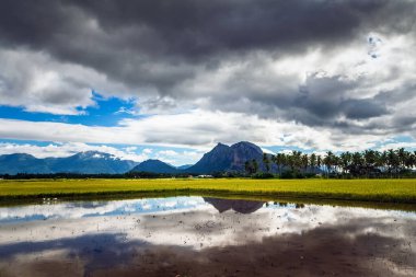 güzel doğanın resimsel manzarası